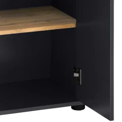 Wohnen 60 cm breiter Badschrank in Anthrazit - Rigori