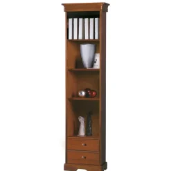 Wohnen 51 cm breites Regal mit zwei Schubladen - Lemerzi