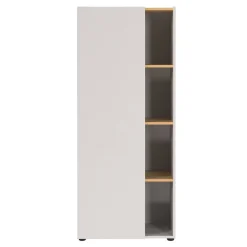 Wohnen Aktenschrank in Hellgrau und Wildeiche Optik - Chiron