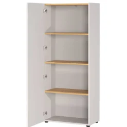 Wohnen Aktenschrank in Hellgrau und Wildeiche Optik - Chiron