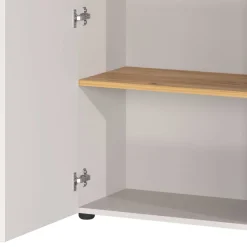 Wohnen Aktenschrank in Hellgrau und Wildeiche Optik - Chiron