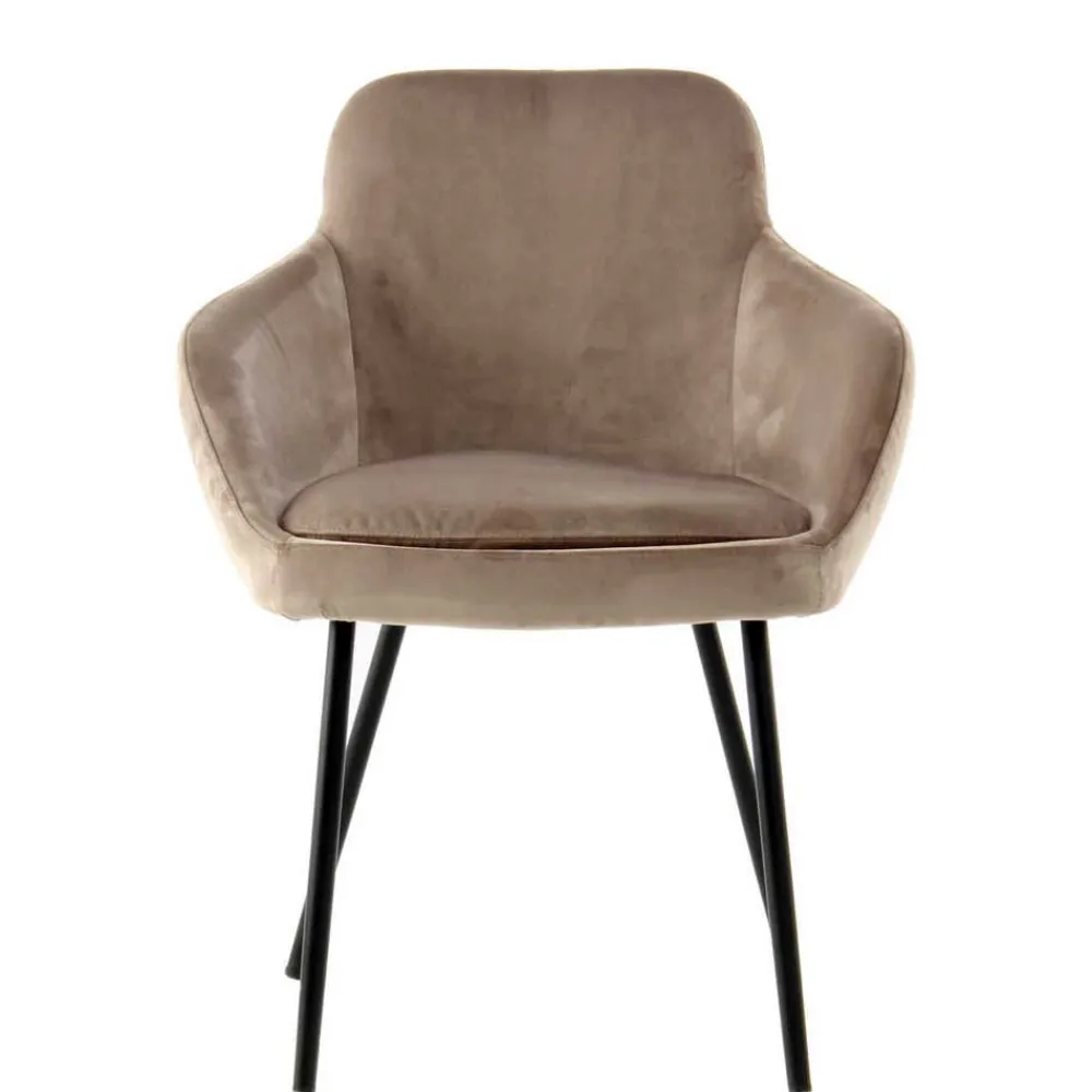 Wohnen Aparter Tischsessel in Taupe Samtstoff - Volpedusa (2er Set)