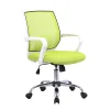 Wohnen Bürostühle*Armlehnen Büro-Drehstuhl in Hellgrün & Weiß - Lianessa