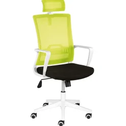 Wohnen Armlehnen Computerstuhl in Hellgrün & Schwarz - Veronica