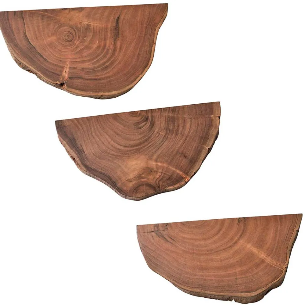 Wohnen Esszimmerregale|Regale*Baumscheiben Wandboards aus Akazie Massivholz - Tofana (dreiteilig)