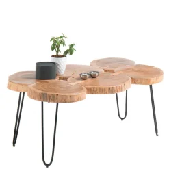 Wohnen Designermöbel*Baumscheiben Wohnzimmertisch mit Haarnadel Beinen - Ranuves