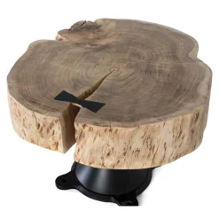 Wohnen Designermöbel*Couchtisch mit dicker Baumscheibe als Platte - Corgova
