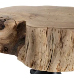 Wohnen Designermöbel*Couchtisch mit dicker Baumscheibe als Platte - Corgova