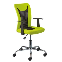 Wohnen Design Bürostuhl in Hellgrün & Schwarz - Next