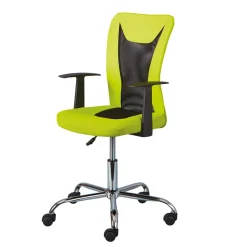 Wohnen Design Bürostuhl in Hellgrün & Schwarz - Next