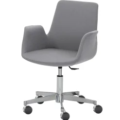 Wohnen Design Bürostuhl mit Armlehnen in Grau - Iranus