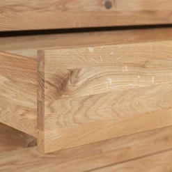 Wohnen Design Eiche Schrank mit getönten Glastüren - Fabiella