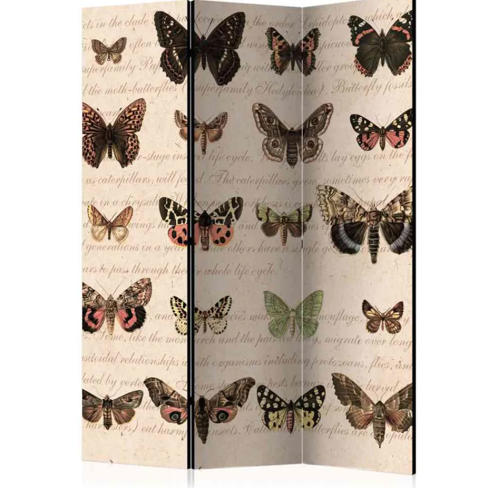 Kinder Wohnen Design Paravent Schmetterlinge & Motten - Sina