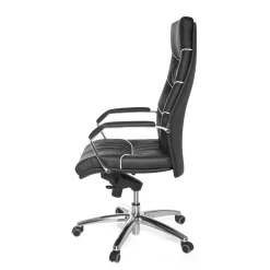 Wohnen Design Schreibtischstuhl aus Leder - Merana