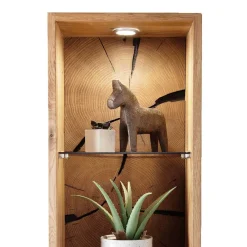 Wohnen Design Wandregal mit zwei Glasböden - Acapella