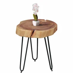 Wohnen Designermöbel*Designertisch Lariona mit Baumscheibe und Metall-Gestell