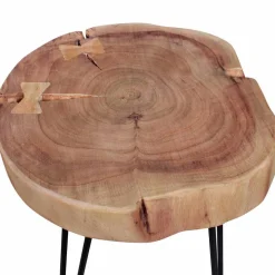 Wohnen Designermöbel*Designertisch Lariona mit Baumscheibe und Metall-Gestell