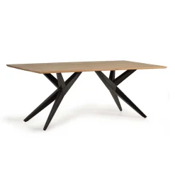 Wohnen Massivholzmöbel|Tische*Design-Esstisch mit Massivholzplatte Akazie - Annipurk