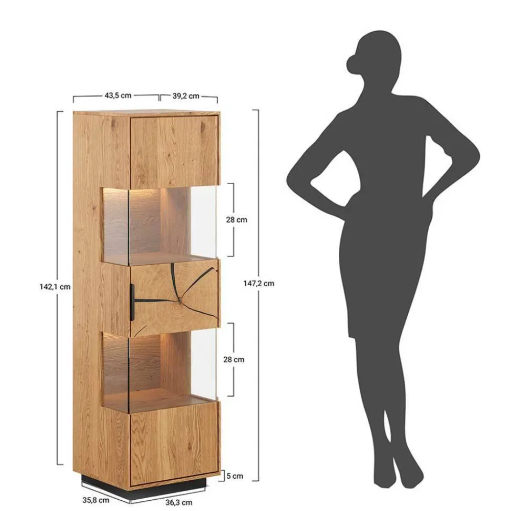 Wohnen Vitrinen|Wohnzimmer-Vitrinen*Eichenholz Vitrine mit Hirnholz Applikation - Deruta