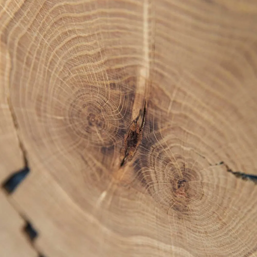 Wohnen Vitrinen|Wohnzimmer-Vitrinen*Eichenholz Vitrine mit Hirnholz Applikation - Deruta