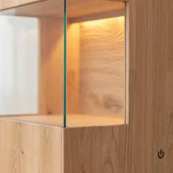 Wohnen Vitrinen|Wohnzimmer-Vitrinen*Eichenholz Vitrine mit LED Beleuchtung - Judita