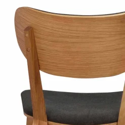 Wohnen Eichenstuhl mit Polsterung - Forcia (2er Set)