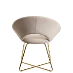 Wohnen Eleganter Polsterstuhl in Beige Samt - Amando