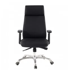 Wohnen Ergonomischer Leder Bürostuhl mit hoher Lehne - Fluracia