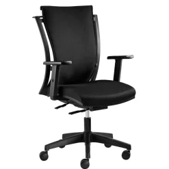 Wohnen Ergonomischer Schreibtischsessel in Schwarz - Gioja