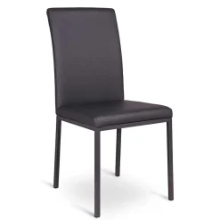 Wohnen Küchenstühle|Esszimmerstühle*Esstischstuhl Jaletto in Grau (2er Set)