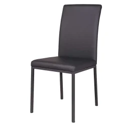 Wohnen Küchenstühle|Esszimmerstühle*Esstischstuhl Jaletto in Grau (2er Set)