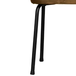 Wohnen Küchenbänke|Esszimmerbänke*Esszimmerbank in Honigfarben Samt - Labound