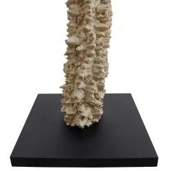 Wohnen Lampen & Leuchten*Extravagante Stehleuchte aus Treibholz - Cancan