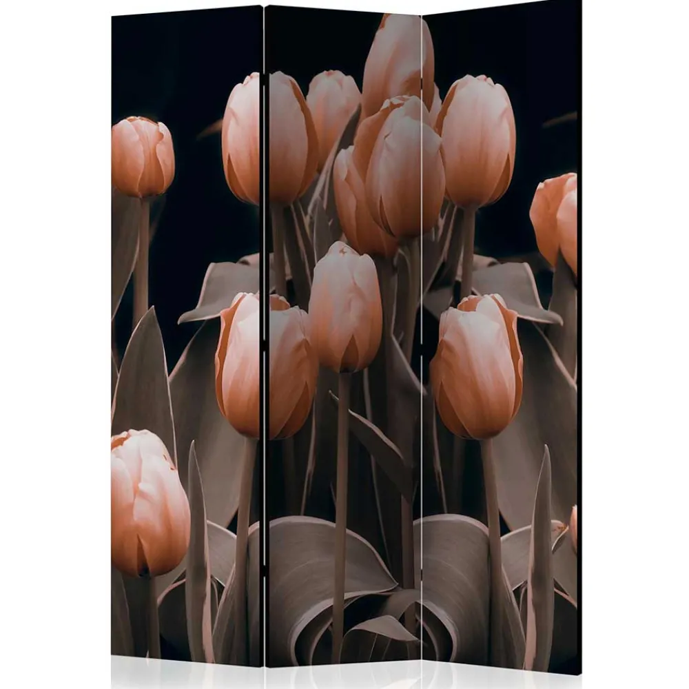 Wohnen Wohnzimmer-Regale|Paravents*Foto Paravent aus Leinwand mit Tulpen Motiv - Tofos