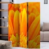 Wohnen Wohnzimmer-Regale|Paravents*Foto Paravent Gelbe Gerbera Close Up - Apulco