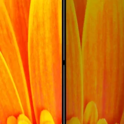 Wohnen Wohnzimmer-Regale|Paravents*Foto Paravent Gelbe Gerbera Close Up - Apulco