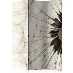 Wohnen Foto Trennwand Nahaufnahme Pusteblume - Apulca