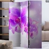 Wohnen Fotodruck Leinwand Paravent mit Orchideen - Casper