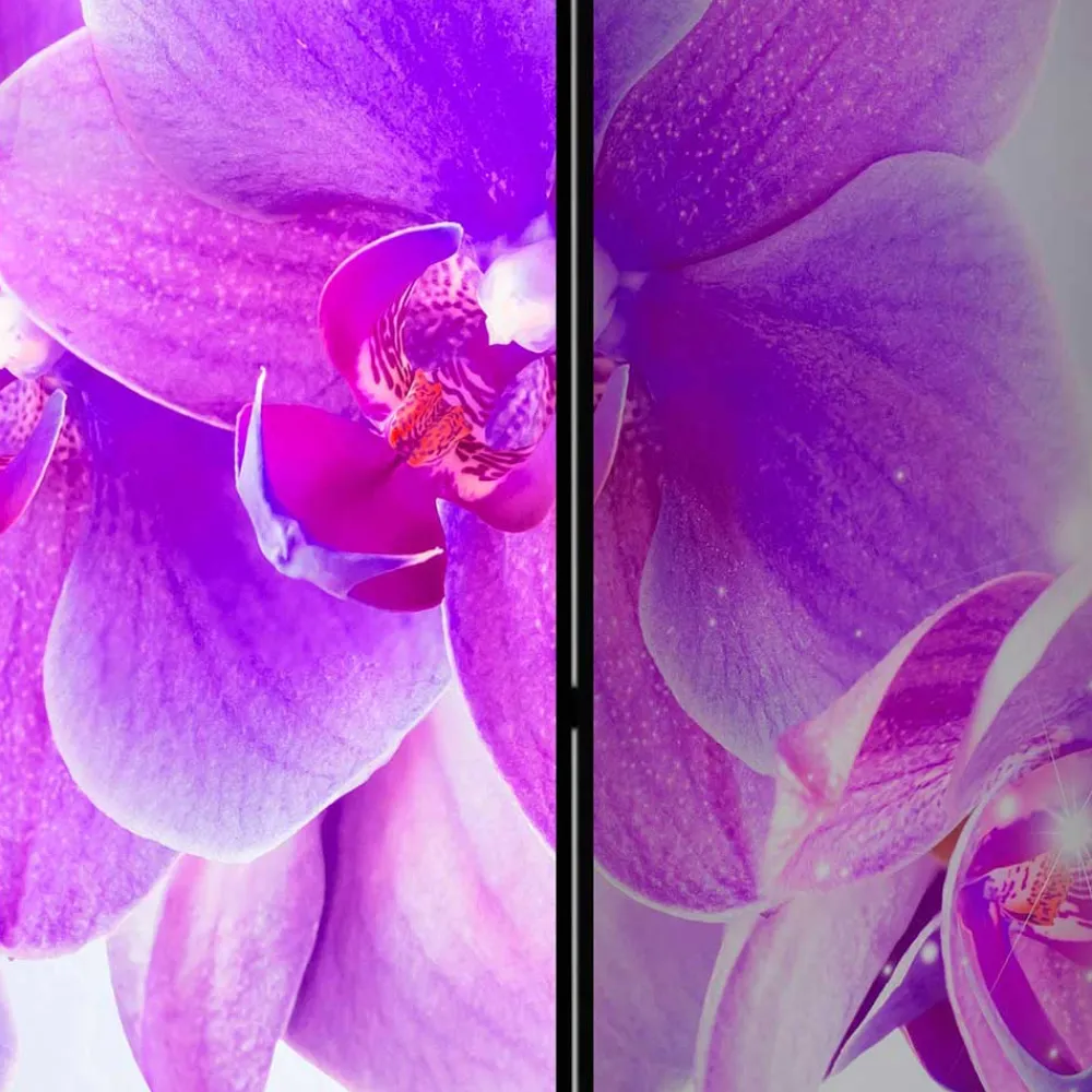 Wohnen Fotodruck Leinwand Paravent mit Orchideen - Casper