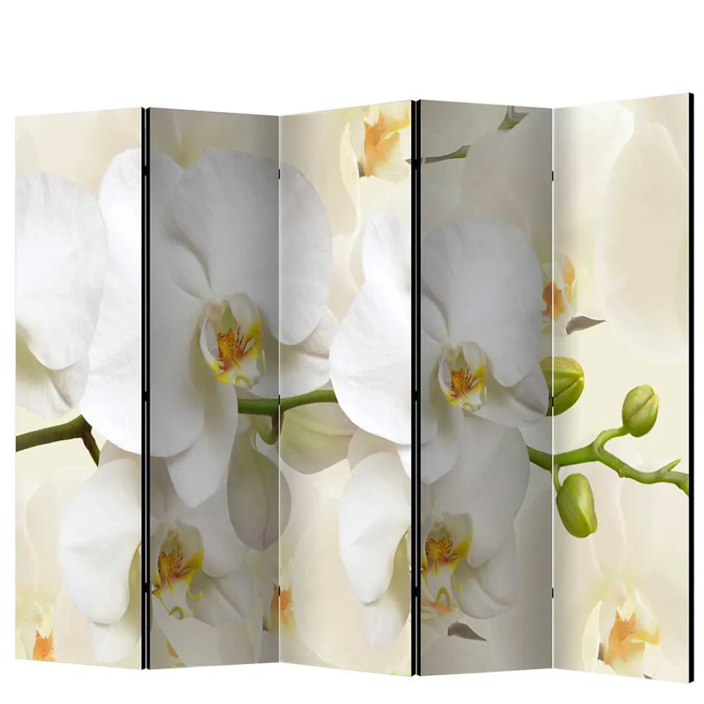 Wohnen Fotoprint Leinwand Paravent Weiße Orchideen - Aury