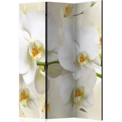 Wohnen Fotoprint Leinwand Paravent Weiße Orchideen - Aury