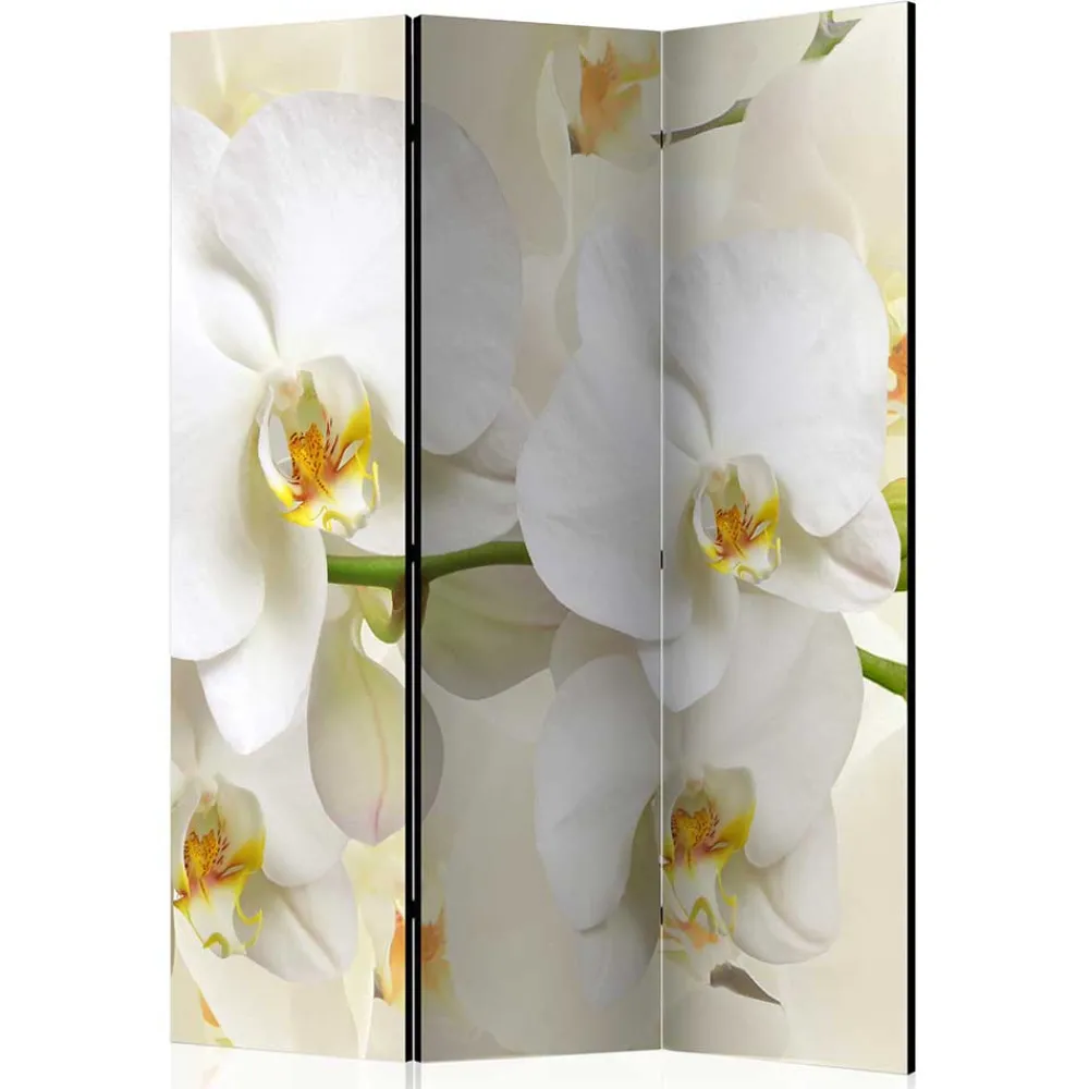 Wohnen Fotoprint Leinwand Paravent Weiße Orchideen - Aury