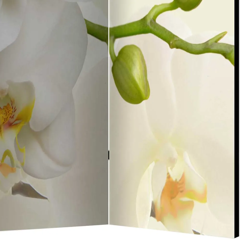 Wohnen Fotoprint Leinwand Paravent Weiße Orchideen - Aury