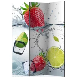 Wohnen Wohnzimmer-Regale|Paravents*Fotoprint Raumtrenner mit Früchten Wasser Eis - Piratro
