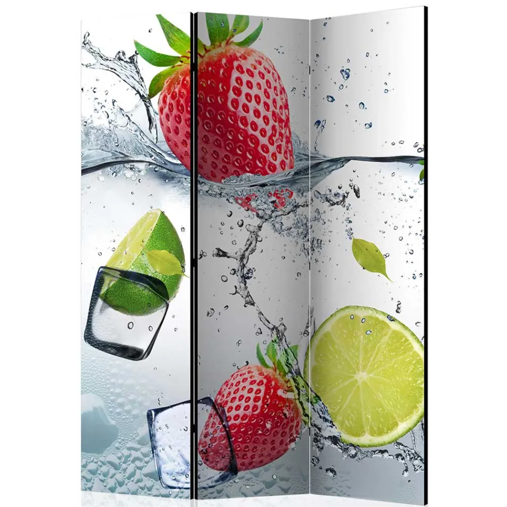 Wohnen Wohnzimmer-Regale|Paravents*Fotoprint Raumtrenner mit Früchten Wasser Eis - Piratro