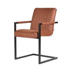 Wohnen Freischwinger Armlehnenstuhl für den Esstisch - Atria