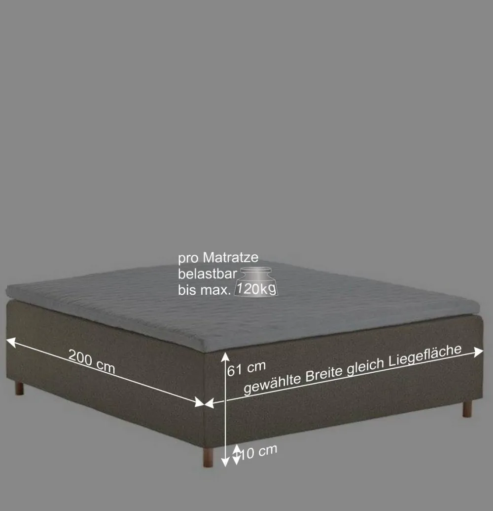 Wohnen Weiße Möbel|Betten*H3 Polsterbett in Creme & Natur - Suvanica