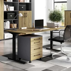 Wohnen Bürotische*Höhenverstellbarer Bürotisch in 160x80 oder 180x80 - Disgano