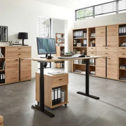 Wohnen Bürotische*Höhenverstellbarer Schreibtisch elektrisch - Emly