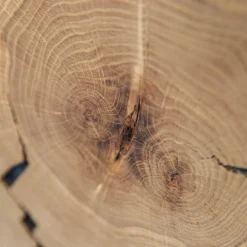 Wohnen Highboard Vitrine aus Eiche und Glas - Masicuri